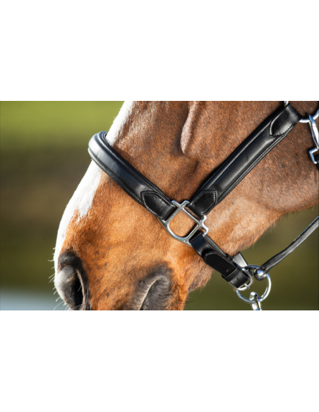 Licol en cuir Wave - HFI