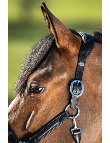 Licol en cuir Wave - HFI