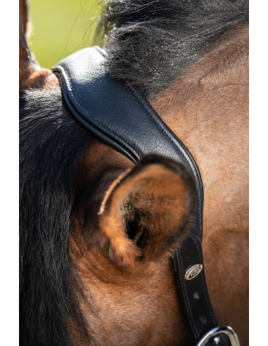 Licol en cuir Wave - HFI