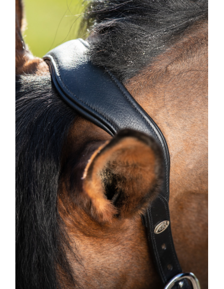 Licol en cuir Wave - HFI