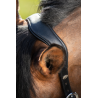 Licol en cuir Wave - HFI