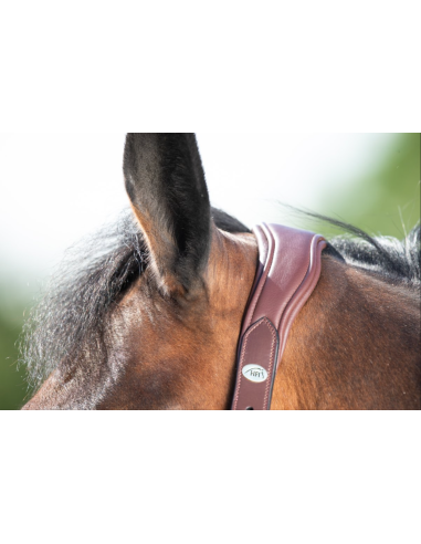 Licol en cuir Wave - HFI