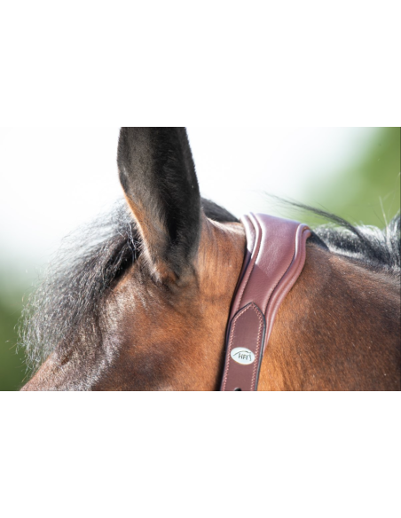 Licol en cuir Wave - HFI