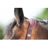 Licol en cuir Wave - HFI