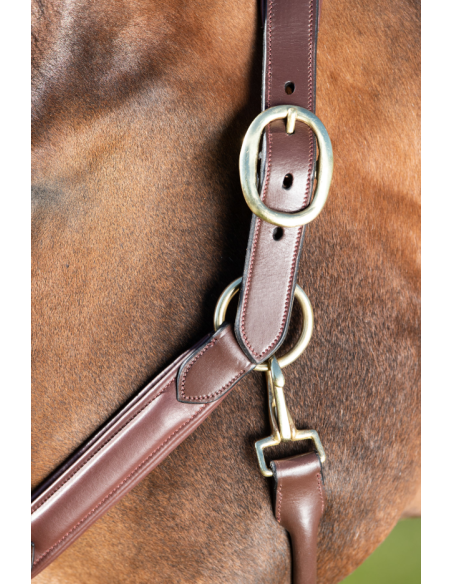 Licol en cuir Wave - HFI