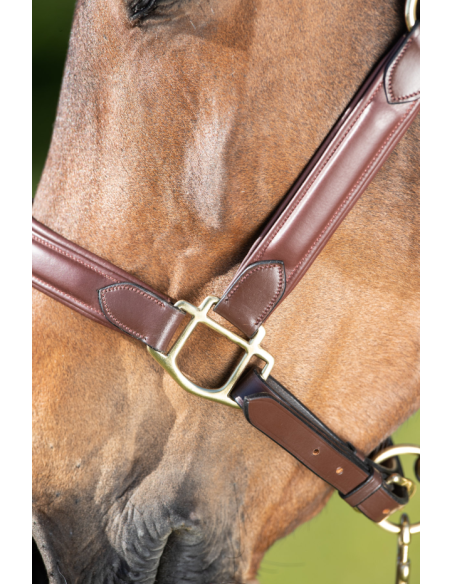 Licol en cuir Wave - HFI