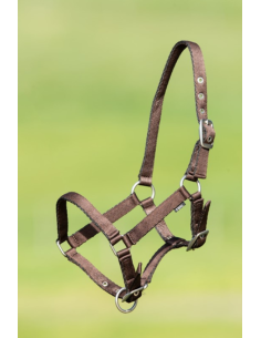 Licol Poulain en nylon - HFI 2