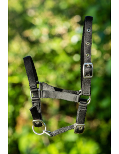 Licol Poulain en nylon - HFI