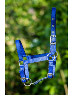 Licol Poulain en nylon - HFI 2