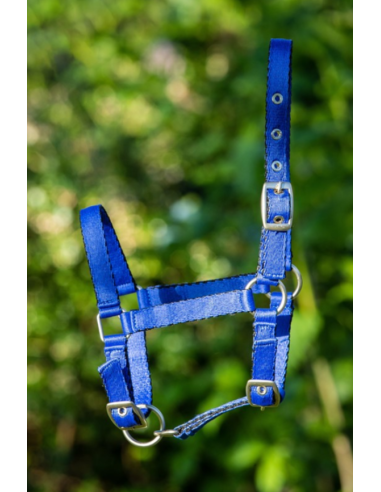 Licol Poulain en nylon - HFI