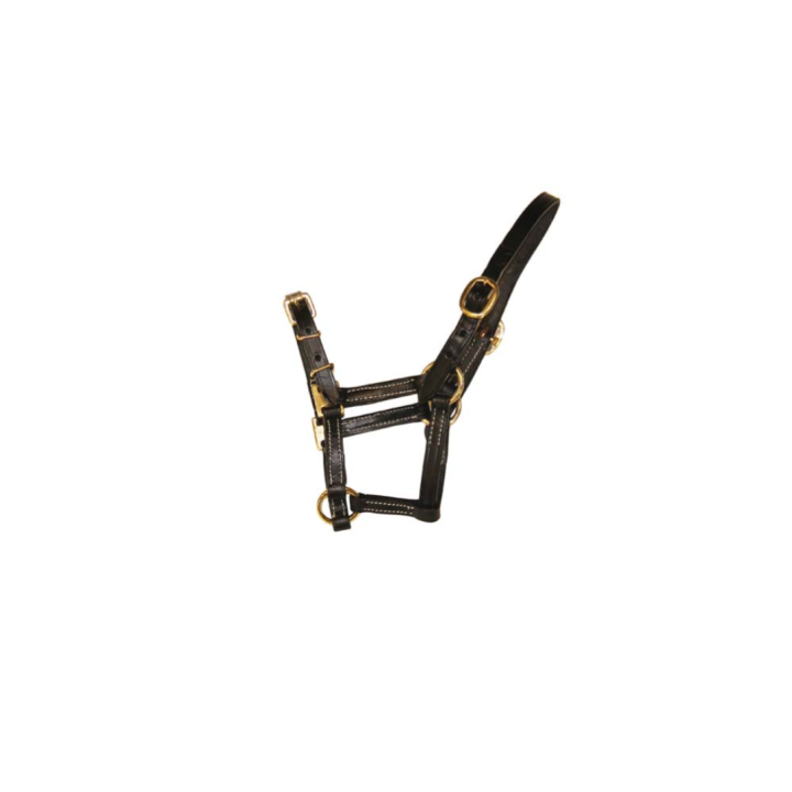 Licol Poulain en cuir - HFI