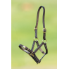 Licol Poulain en cuir - HFI
