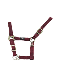 Licol en nylon - Suprême 2