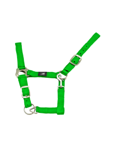 Licol en nylon - Suprême 2