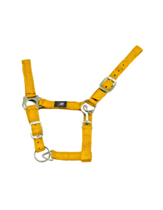 Licol en nylon - Suprême 2