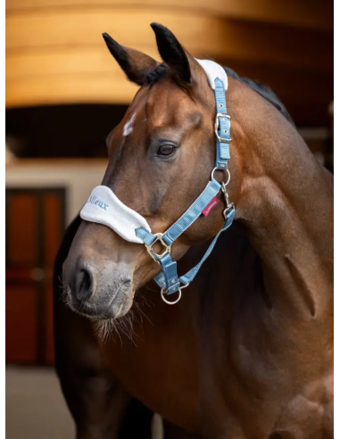 Licol et Longe Vogue - LeMieux