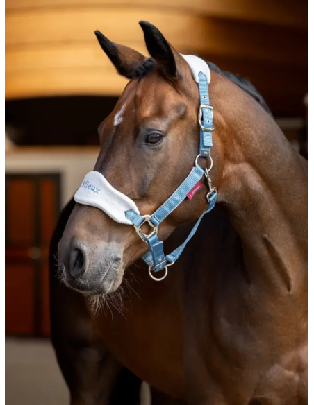 Licol et Longe Vogue - LeMieux