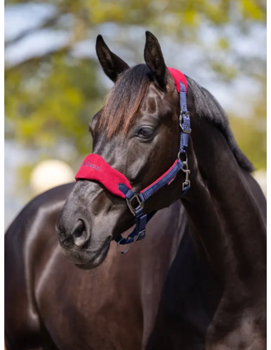 Licol et Longe Vogue - LeMieux