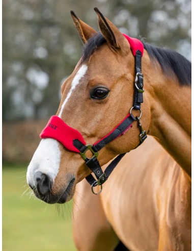 Licol et Longe Vogue - LeMieux