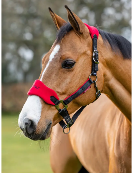 Licol et Longe Vogue - LeMieux