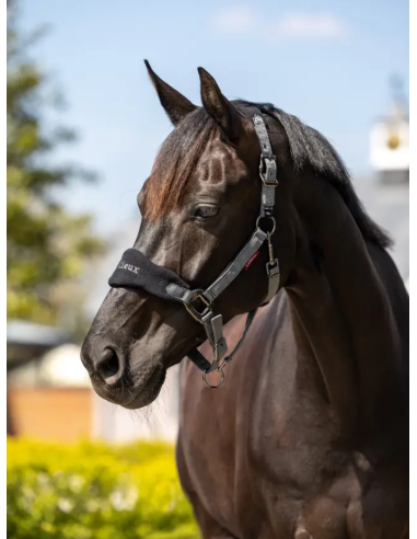 Licol et Longe Vogue - LeMieux