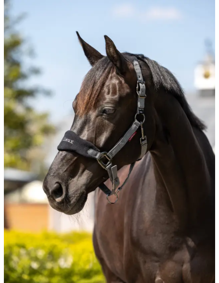 Licol et Longe Vogue - LeMieux