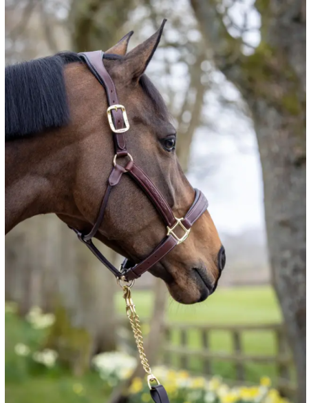 Licol en cuir - LeMieux