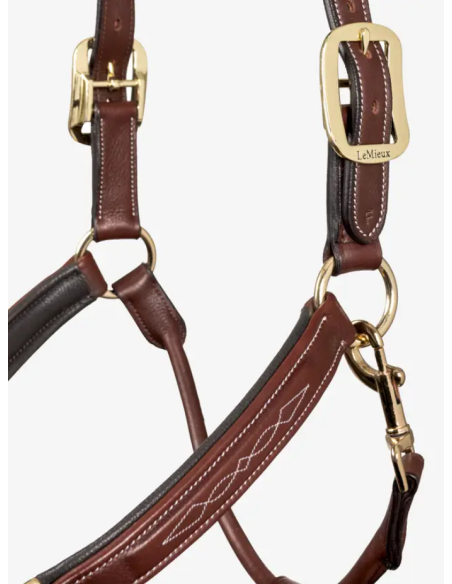 Licol en cuir - LeMieux