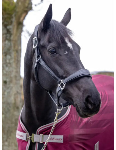 Licol en cuir - LeMieux