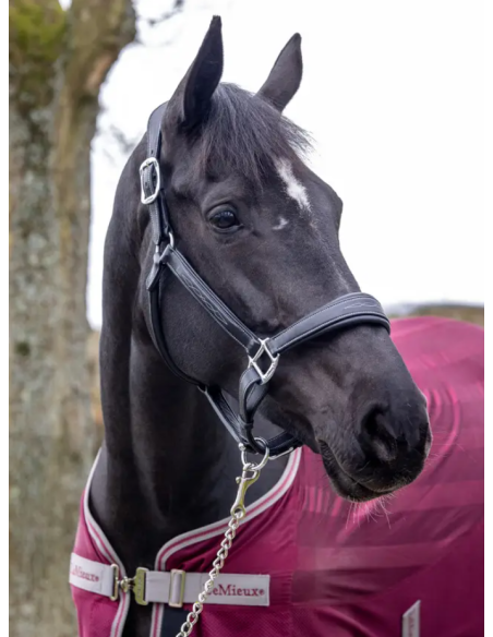 Licol en cuir - LeMieux