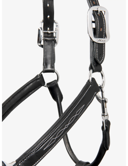 Licol en cuir - LeMieux