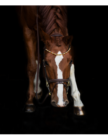 Frontal Droit à Strass - HFI