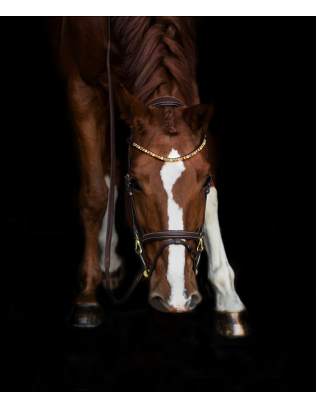 Frontal Droit à Strass - HFI