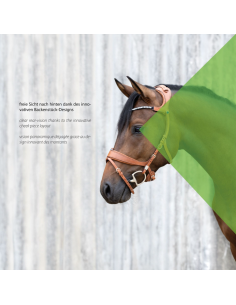 Bridon Freedom II avec Slide&Lock - Stübben 2