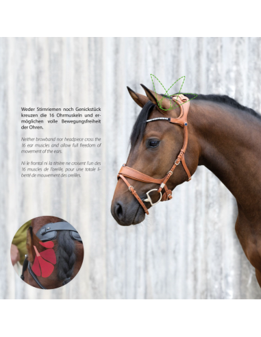 Bridon Freedom II avec Slide&Lock - Stübben