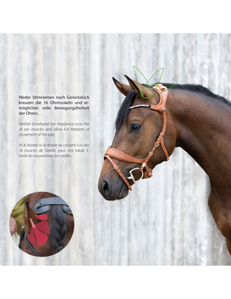 Bridon Freedom II avec Slide&Lock - Stübben