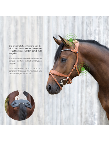 Bridon Freedom II avec Slide&Lock - Stübben