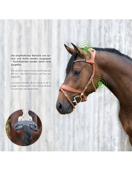 Bridon Freedom II avec Slide&Lock - Stübben