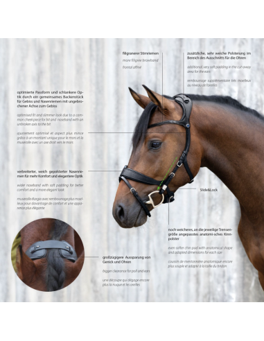 Bridon Freedom II avec Slide&Lock - Stübben
