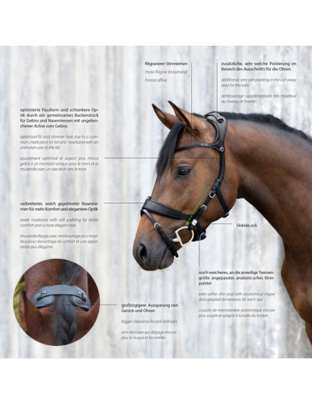 Bridon Freedom II avec Slide&Lock - Stübben