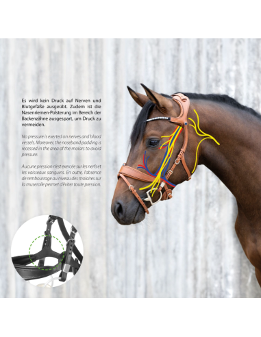 Bridon Freedom II avec Slide&Lock - Stübben