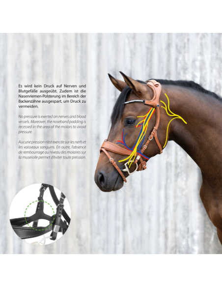 Bridon Freedom II avec Slide&Lock - Stübben