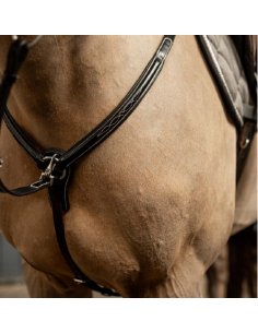 Collier de chasse Arezzo