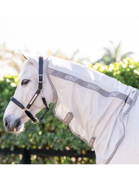 Chemise Amigo All In One Fly - Horseware
