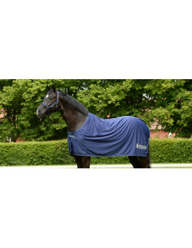 Couverture séchante Power Prize Cooler - Bucas