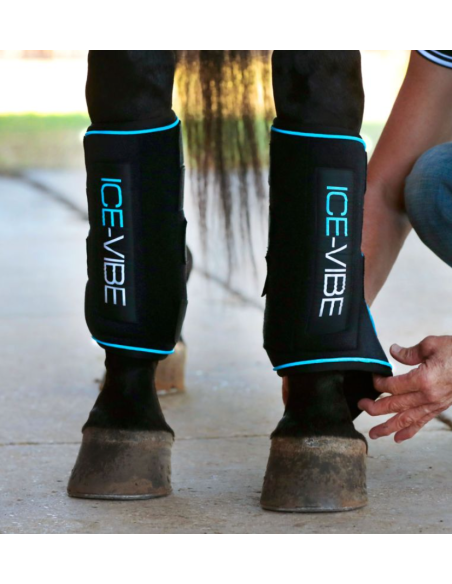 Guêtres Ice-Vibe - Horseware