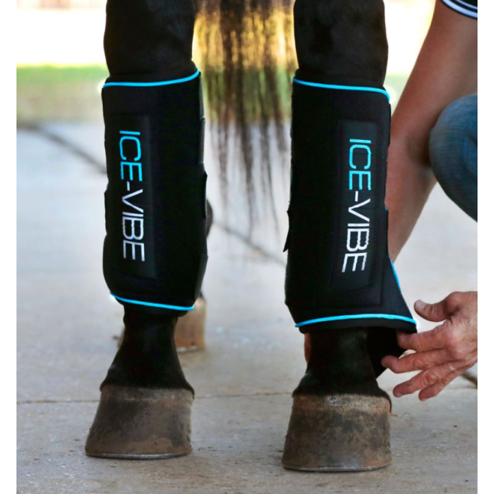 Guêtres Ice-Vibe - Horseware