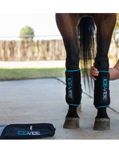 Guêtres Ice-Vibe - Horseware