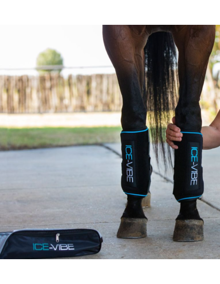 Guêtres Ice-Vibe - Horseware