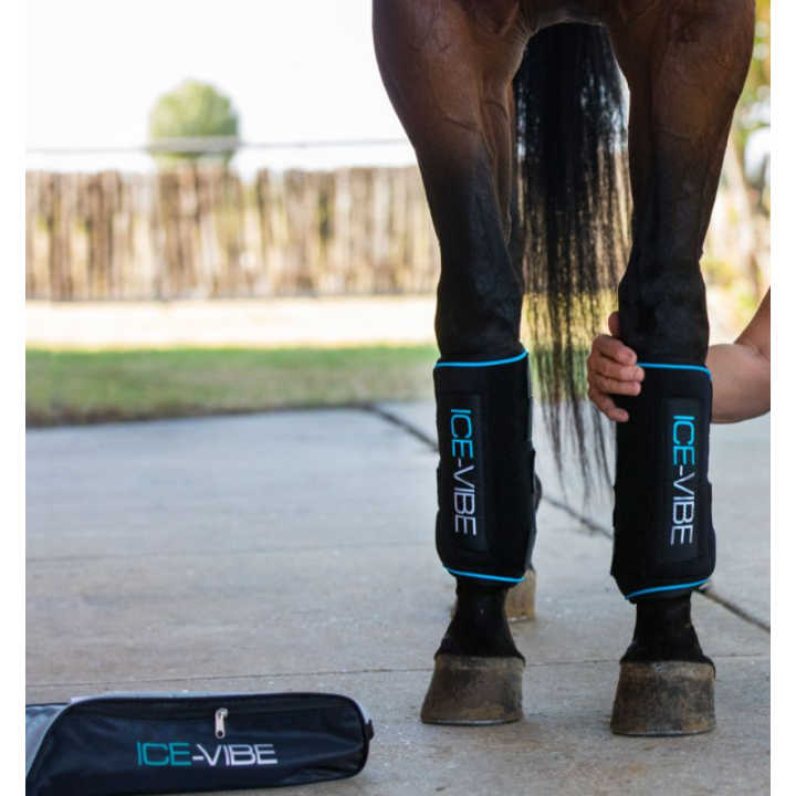 Guêtres Ice-Vibe - Horseware